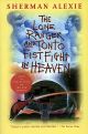 Lone Ranger and Tonto: Fistfight in Heaven