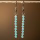 Straight Turquoise Earrings