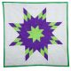 Purple & Lime Green Star Quilt