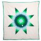 Green Star Quilt