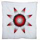 Red, White, & Black Star Quilt