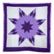 Beautiful Purple Baby Star Quilt