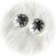 Earrings Frosted Star SS