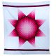 Star Quilt of Pinks, Maroon with Maroon Border