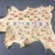 Hand Painted Elk Hide by Frank Shortey