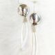 Earrings Head Coin & Dentalium