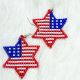 Earrings Stars Red Wht Blue