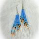 Earrings Blue Dentalium Long