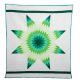 Star Quilt Green Star/Trim/Brd